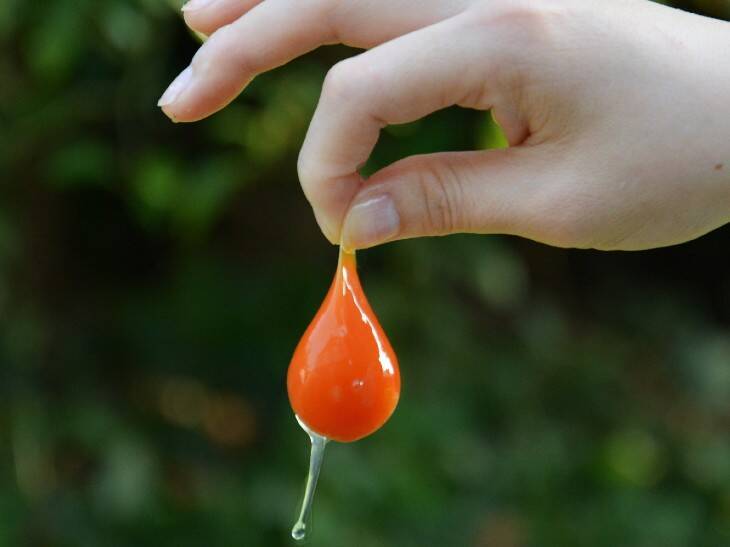 もはや感動級の美味しさ！ 「たまごかけごはん祭り」で注目の「卵」5選