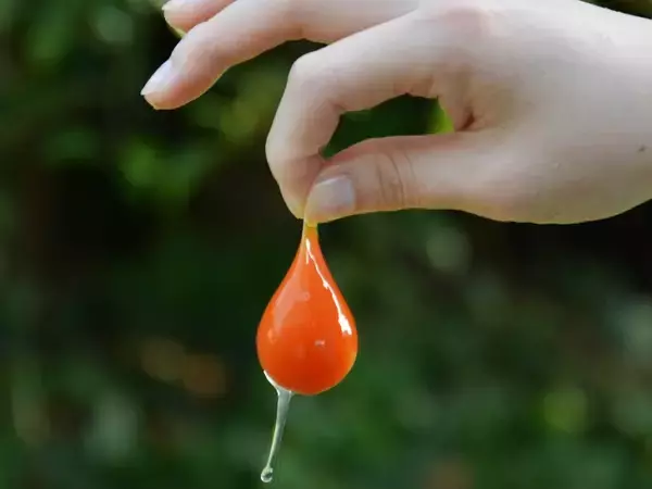 「もはや感動級の美味しさ！ 「たまごかけごはん祭り」で注目の「卵」5選」の画像