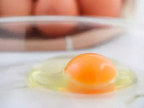 「もはや感動級の美味しさ！ 「たまごかけごはん祭り」で注目の「卵」5選」の画像