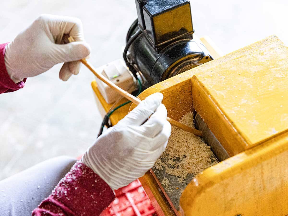 廃材を食べるアース・キュイジーヌ？ サステナブルな食イベントは驚きの連続だった！