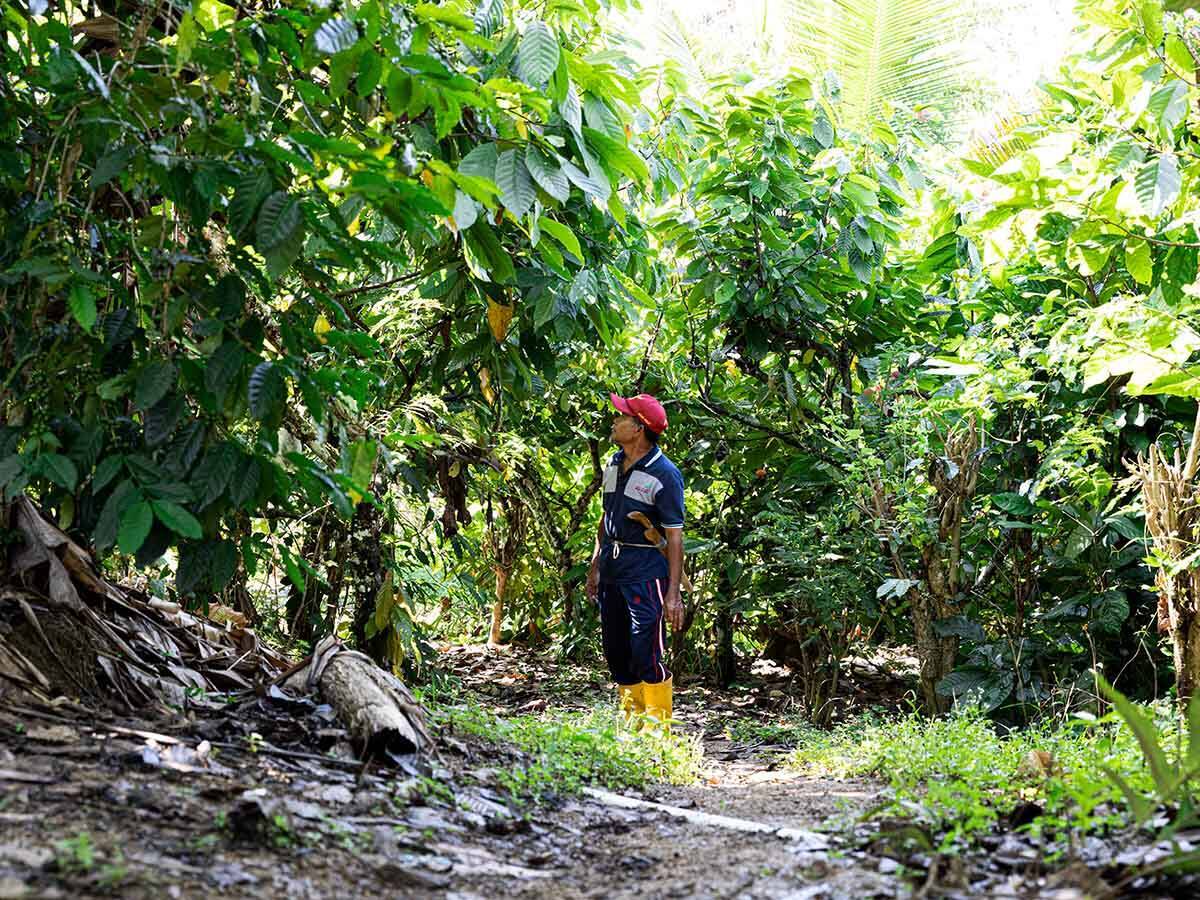 廃材を食べるアース・キュイジーヌ？ サステナブルな食イベントは驚きの連続だった！