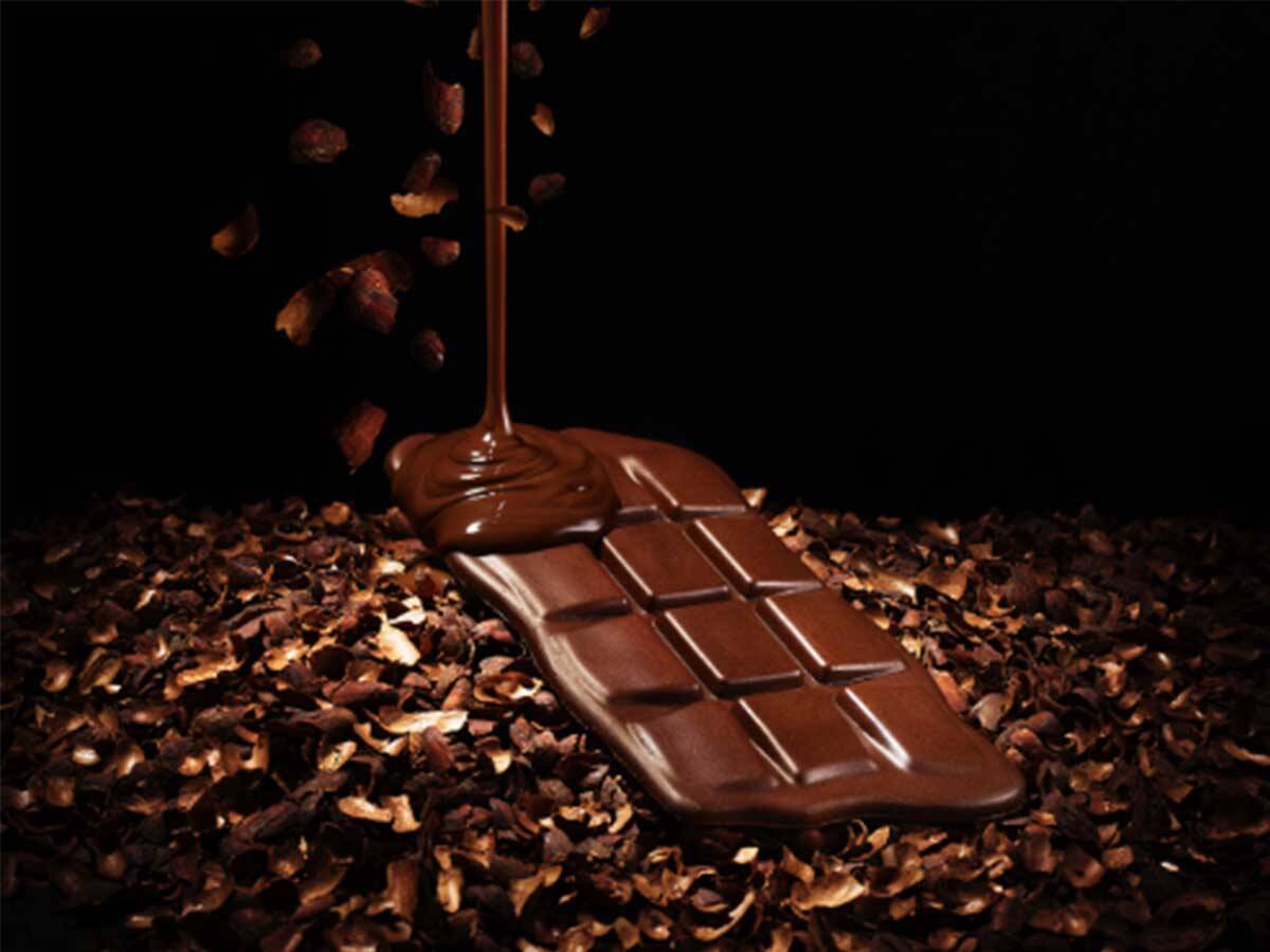 廃材を食べるアース・キュイジーヌ？ サステナブルな食イベントは驚きの連続だった！