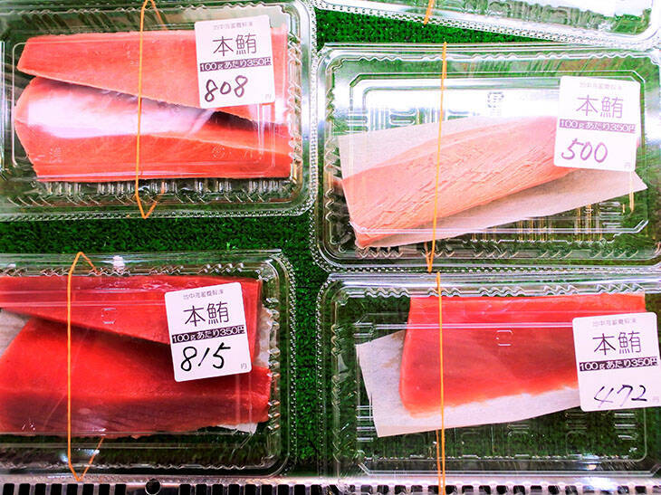 函館で旨いマグロを食べるならココ！ 地元客が激推しする『クロマグロ専門工房 鮪斗』が最高すぎた