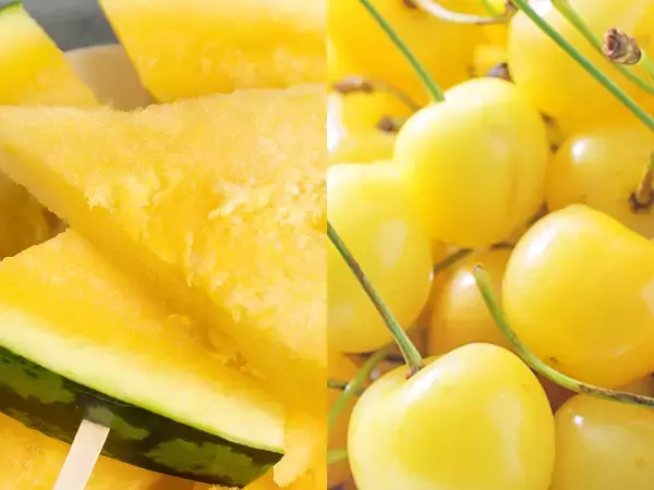 希少なスイカやとうもろこしも！ 今しか食べられない甘くてジューシーな「幻の北海道食材」3選