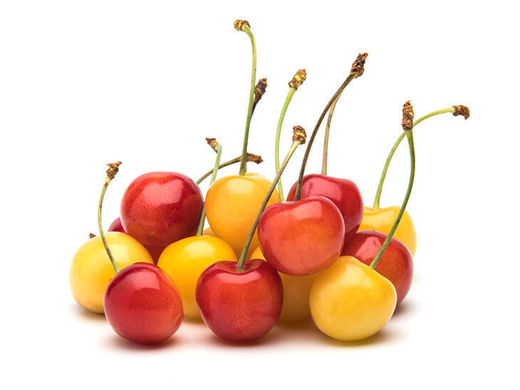 希少なスイカやとうもろこしも！ 今しか食べられない甘くてジューシーな「幻の北海道食材」3選