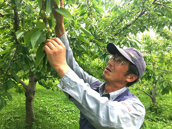 希少なスイカやとうもろこしも！ 今しか食べられない甘くてジューシーな「幻の北海道食材」3選