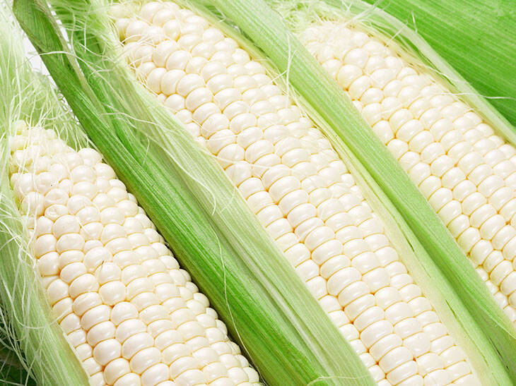 希少なスイカやとうもろこしも！ 今しか食べられない甘くてジューシーな「幻の北海道食材」3選