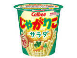 「カルビーの2024年度人気商品ベスト10発表！第2位「フルグラ」を抑えて第1位に輝いたのはあの超定番スナック」の画像11