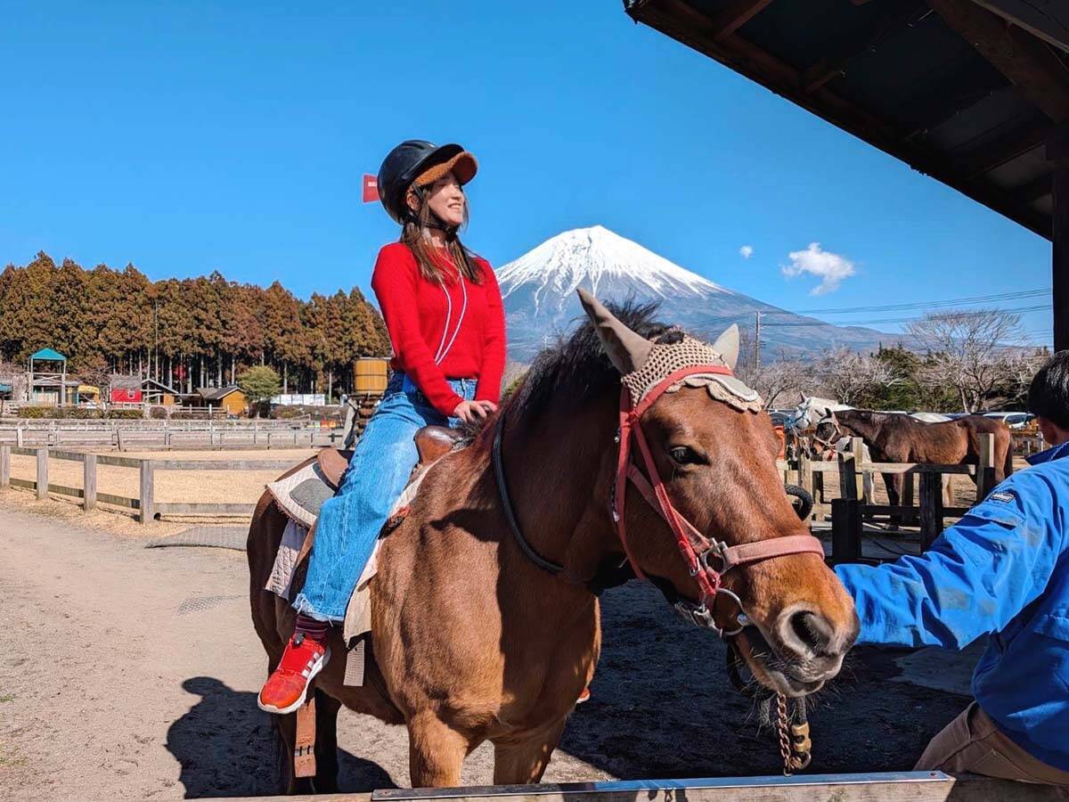 【静岡グルメ旅】富士山の絶景日本一。食べて遊んで癒される「まかいの牧場」が人気の理由