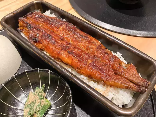 「【東京駅】ランチに、ディナーに。うなぎ四代目菊川の名物「蒲焼き1本重」が絶品！」の画像