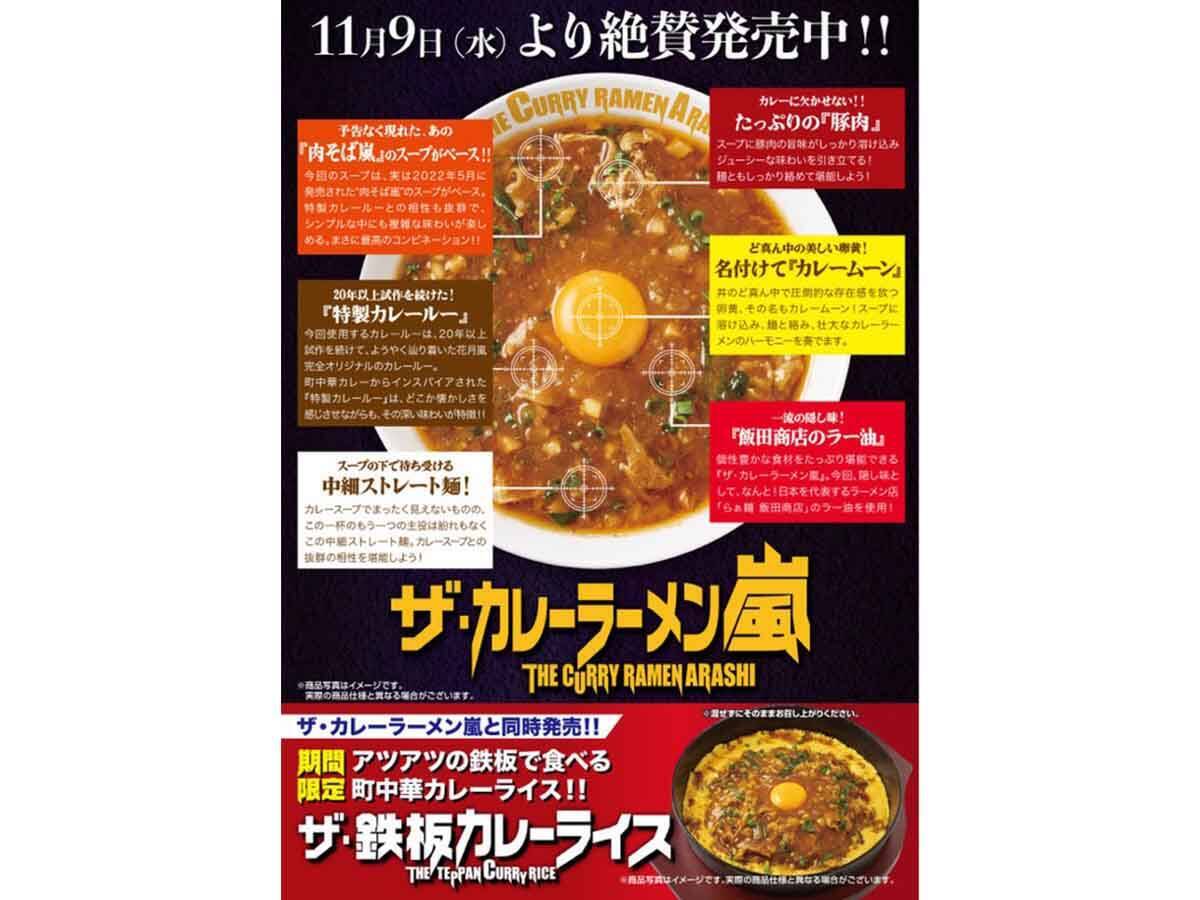 実食レポ カレーラーメンは国民食としてアリかナシか らあめん花月嵐 の ザ カレーラーメン嵐 を食べて考えてみた 22年11月17日 エキサイトニュース