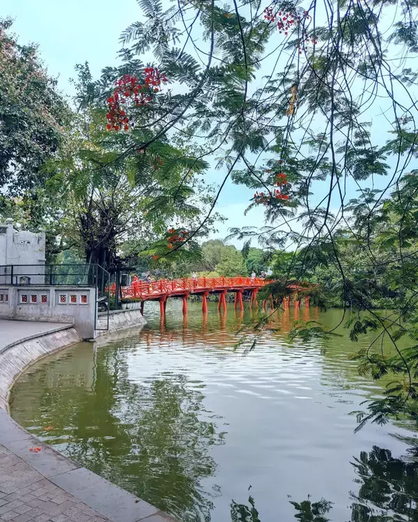 「ベトナム旅行者必見！ハノイの老舗フォー店で味わう本場の朝食体験」の画像