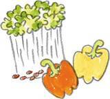 「【外食やせダイエット】基本を抑えれば外食でも痩せる！ 石本哲郎式「ダイエットの基本10か条」」の画像4