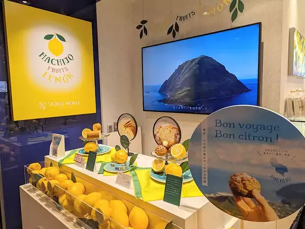 「即完売、買えたらラッキー！ 東京駅限定『ヨックモック』の「手作りクッキーシュー」を購入するコツ」の画像