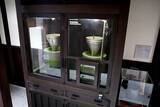 「【京都】でおいしい抹茶体験なら宇治の老舗茶屋へ！ 『森半』のお茶広場＆蔵カフェが楽しい」の画像2
