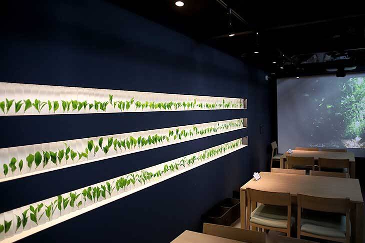 【京都】でおいしい抹茶体験なら宇治の老舗茶屋へ！ 『森半』のお茶広場＆蔵カフェが楽しい