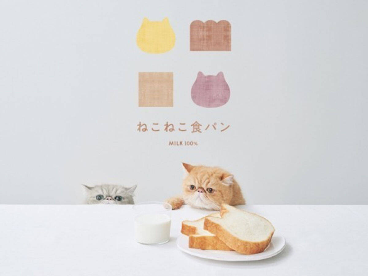 パンなのにまるできなこ餅！？ 『ねこねこ食パン』のお餅を使った「ねこねこ食パンきなこもち」が絶品すぎる