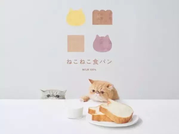 「パンなのにまるできなこ餅！？ 『ねこねこ食パン』のお餅を使った「ねこねこ食パンきなこもち」が絶品すぎる」の画像