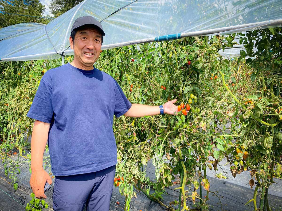 絶景テラスのレストランで野菜ランチを。山梨らしい「食と人をつなぐ」サスティナブルな農業の未来