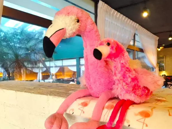 「フラミンゴを眺めて料理を楽しむ。昭和から愛され続けるちょっとシュールなレストラン『メヒコ』に行ってきた」の画像