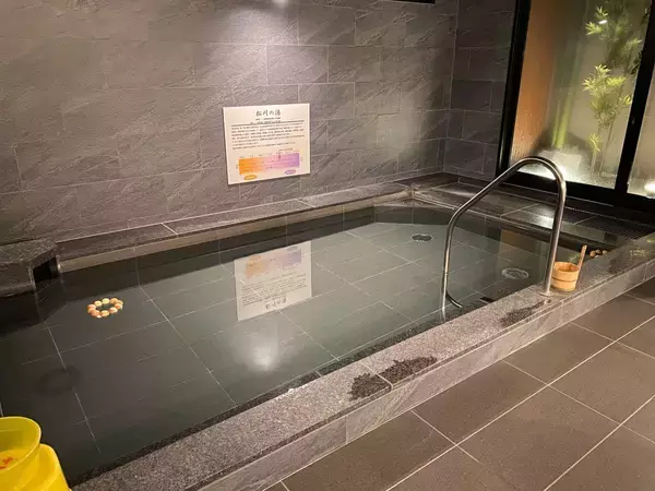 「【注目ホテル】富山城址公園を一望する『スーパーホテルPremier富山・城址公園前』。新しい観光拠点に注目！」の画像