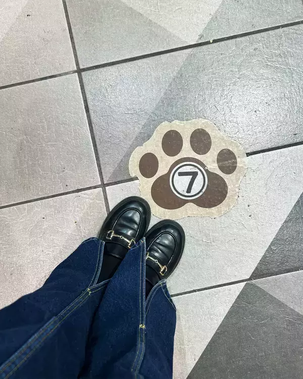 「【年末年始のお取り寄せ】ネコがシェフを務める『ネコシェフ』の肉球型フィナンシェ。可愛さも美味しさもひと箱に」の画像