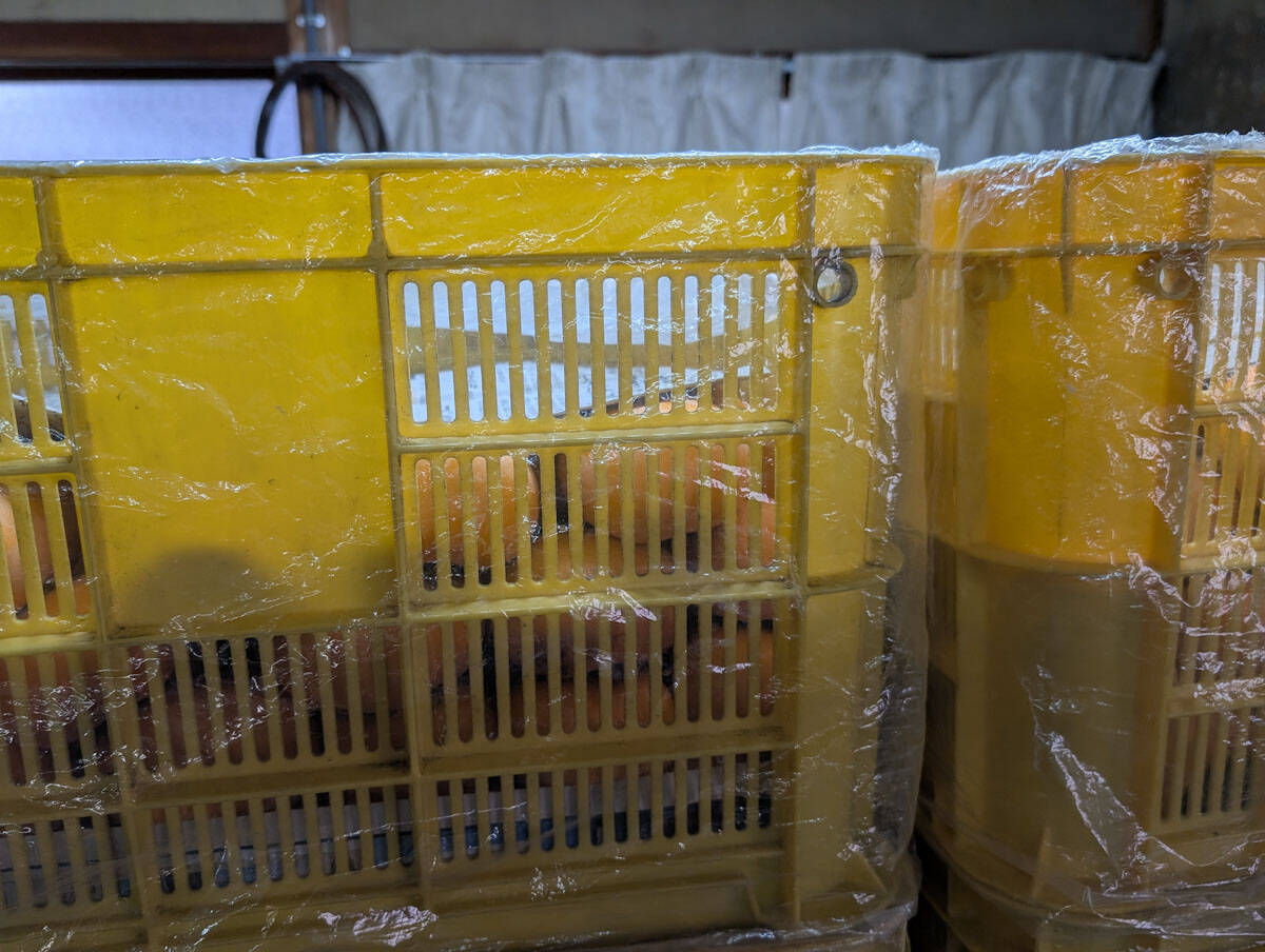 “柿の概念が変わる”と評判。奈良・天理『松田果樹園』の刀根早生柿と極上ジェラート