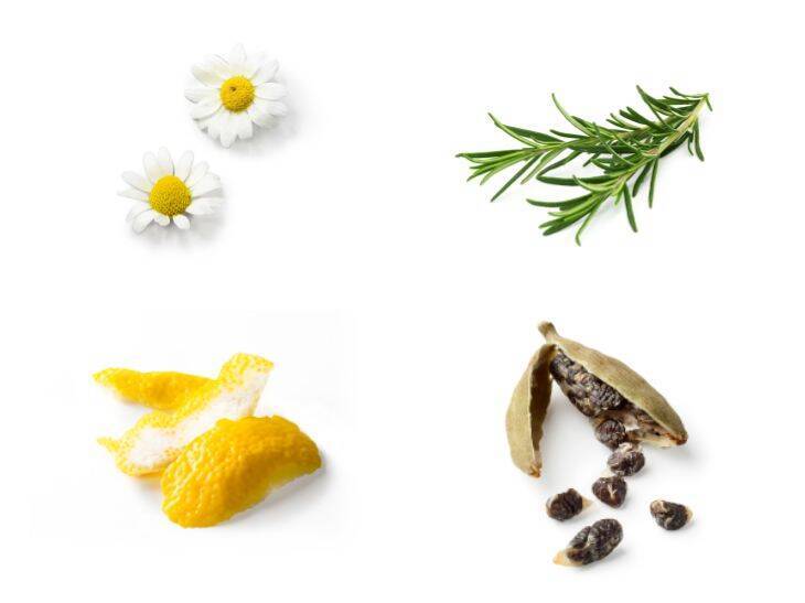 里山の春が薫るボタニカルなジンが登場！「久保田」醸造元の新作「KUBOTA GIN よそふ春」の美味しい飲み方とは