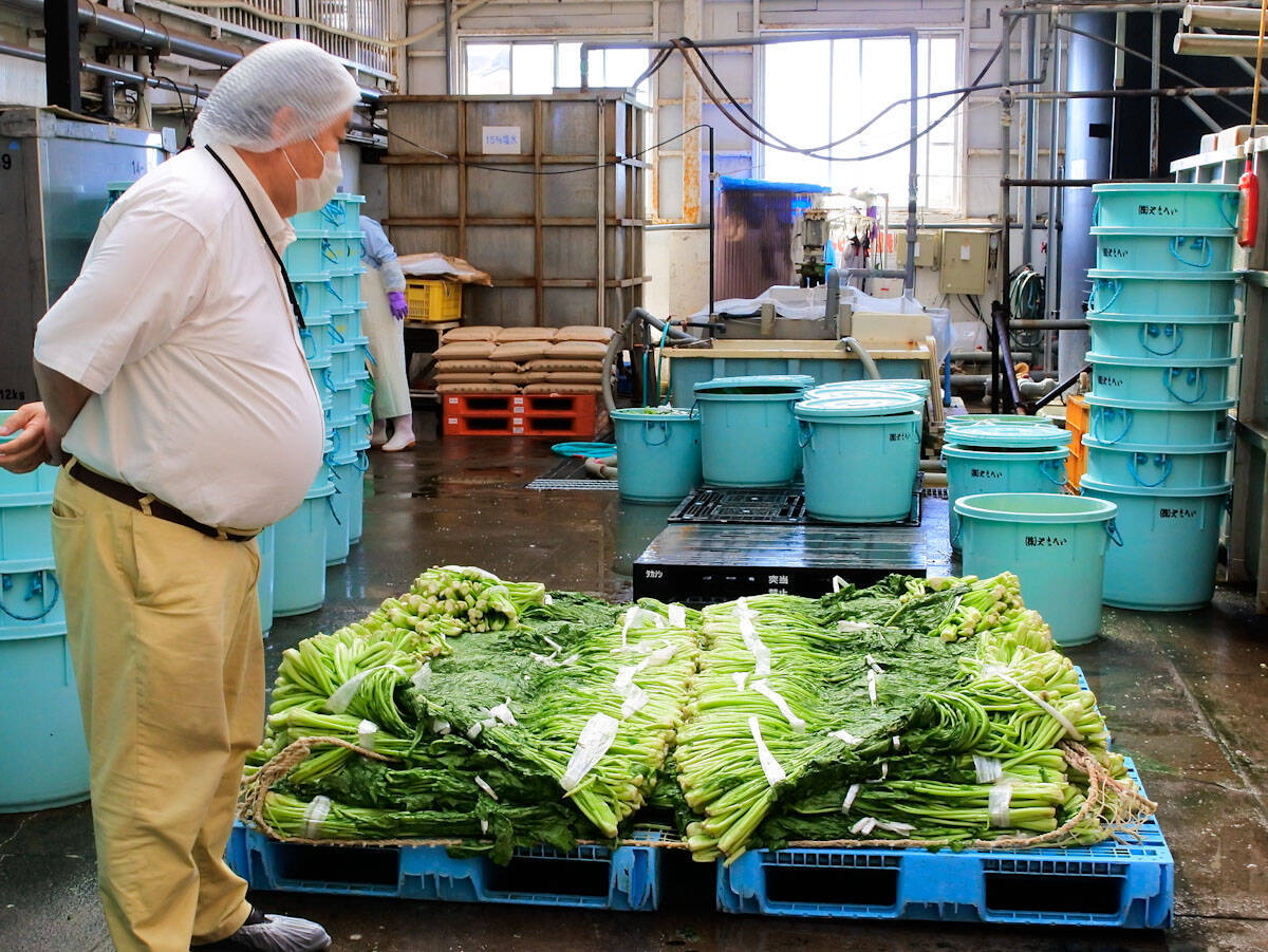 長寿の地で発酵づくしの旅へ！軽井沢マリオットホテルが提案する1泊2日発酵ツアーがステキだった