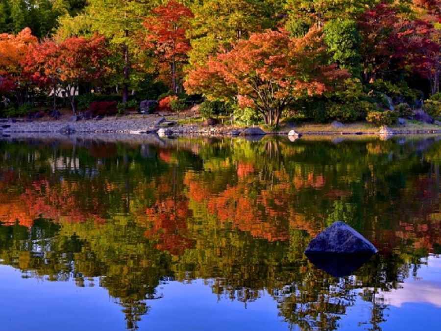 秋に紅葉や星空を眺めよう おすすめのキャンプ場7選 年10月1日 エキサイトニュース