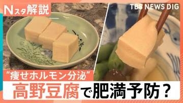高野豆腐に肥満予防の可能性　新研究で“痩せホルモン”分泌も　ガパオやかりんとうなど煮物以外の活用術【Nスタ解説】