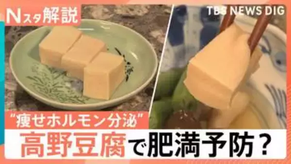 高野豆腐に肥満予防の可能性　新研究で“痩せホルモン”分泌も　ガパオやかりんとうなど煮物以外の活用術【Nスタ解説】