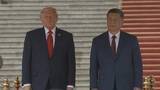 「米中　AIめぐる政府間対話実施で合意　中国外務省発表」の画像1