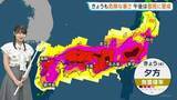 「佐賀39℃、名古屋38℃予想ときょうも危険な暑さ 熱中症に厳重警戒を　昼過ぎから発雷確率高く急な雷雨に警戒を【予報士解説】」の画像1