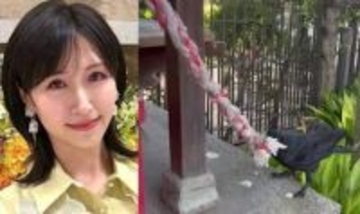 【 横山ルリカ 】神社で“カラスの驚きの行動”を目撃「 なんとカラスが鈴を鳴らしていました」