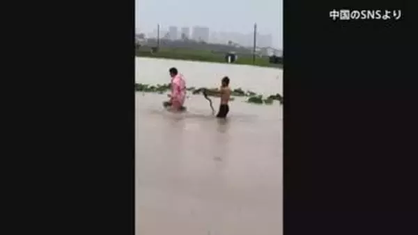 中国・広西チワン族自治区で多数のヘビが脱走　かまれた女性が死亡　台風10号の豪雨で洪水発生
