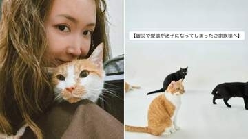 【 熊本地震 】〝震災で愛猫が迷子になってしまったご家族様へ〟紗栄子率いる保護猫支援活動が〝探すためのポイント〟呼びかけ【 全文掲載 】