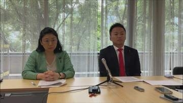 子どものネット規制めぐり年齢確認の厳格化など求める　年齢で一律の“利用制限”は盛り込まず　自民プロジェクトチーム