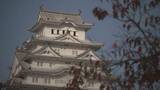「【解説】「世界遺産」って何？　どう決まるの？」の画像1