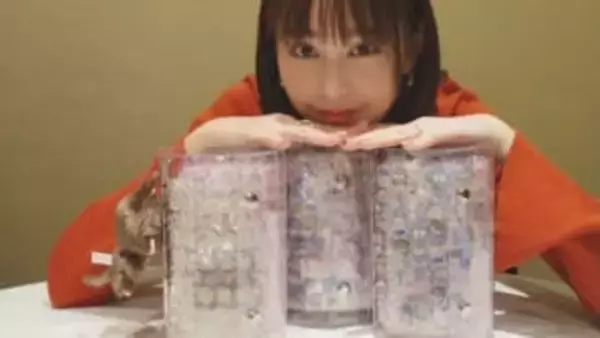 【 桐谷美玲 】〝どっぷりシール沼〟友人とシール帳持ち寄り「がっつり平成女」の癒やし時間　フォロワー〝お気に入りが気になる〟