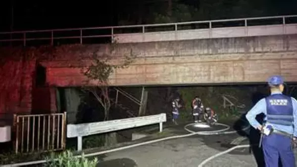 埼玉県の西武秩父線沿線で山林火災 一時運転見合わせ　横瀬町　けが人なし