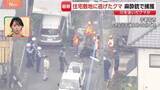 「宇都宮のクマ麻酔銃で捕獲　3回目で命中　“若い成獣でオスのツキノワグマか”　住宅街の庭に出没【現場中継】」の画像1