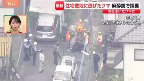 宇都宮のクマ麻酔銃で捕獲　3回目で命中　“若い成獣でオスのツキノワグマか”　住宅街の庭に出没【現場中継】
