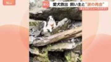 ニュージーランドで愛犬「モリー」救出の瞬間　滝に落ちた飼い主の女性と感動の再会　ヘリコプターの捜索費用約100万円は寄付で