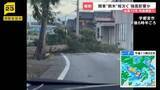 「“逆走台風”15号 茨城県に初上陸 各地で倒木相次ぐ お盆期間中の空の便にも影響【news23】」の画像1