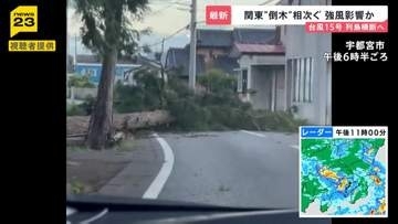 “逆走台風”15号 茨城県に初上陸 各地で倒木相次ぐ お盆期間中の空の便にも影響【news23】