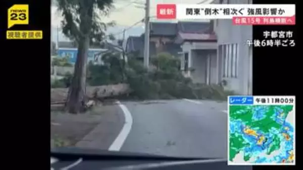 “逆走台風”15号 茨城県に初上陸 各地で倒木相次ぐ お盆期間中の空の便にも影響【news23】