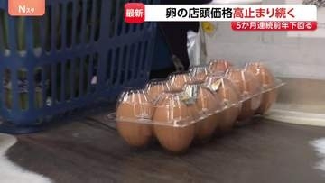卵の卸売価格 5か月連続で前年を下回る　一方、小売価格は2か月連続で最高値水準に 高値はいつまで･･･