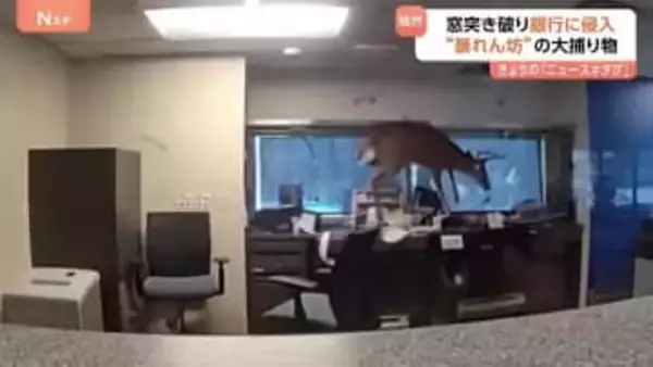 ニューヨーク州の銀行に侵入したのは？机に飛び乗り書類まき散らす“暴れん坊”　警察を翻弄するその正体は？