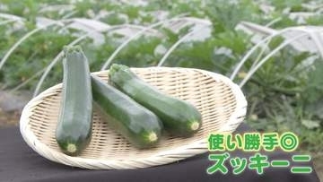 今が旬のズッキーニ！「安さ」「手軽さ」からいまや“国民食”にも？ プロが教える“美味しく食べるレシピ”とは